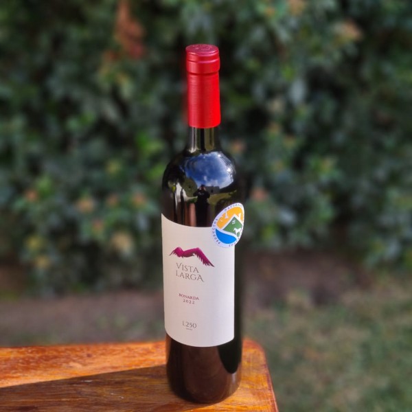 Vino tinto Malbec 2022