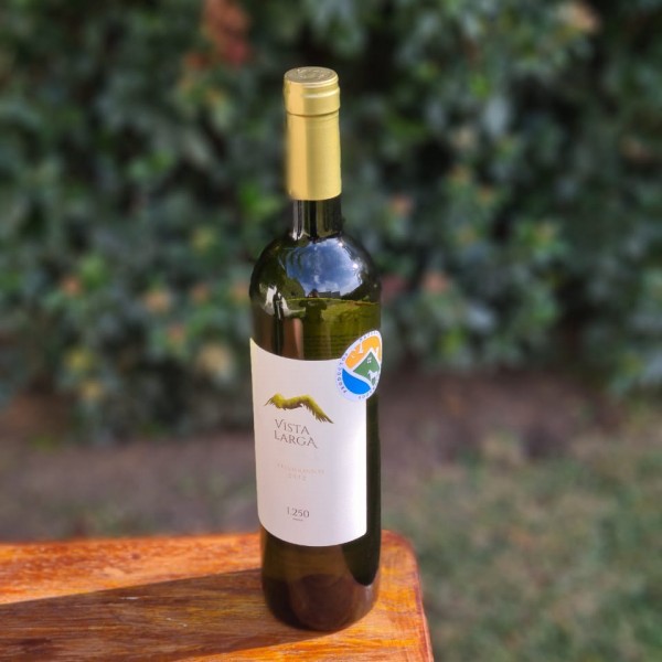 Vino blanco Chardonnay 2022
